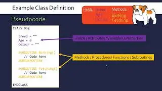 Object-Oriented Programming: Objects and Classes