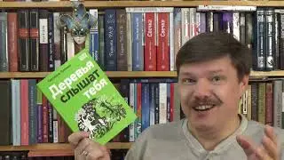 Светлана Лаврова. Деревья слышат тебя