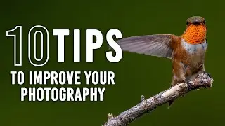 10 Things You Can Do to be a Better Photographer