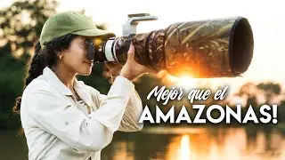 PANTANAL de BRASIL  🇧🇷 El mejor lugar para ver fauna