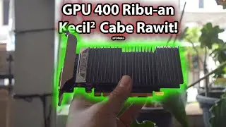 Review GT 1030 2GB di Tahun 2024 | Murah, Hemat Daya dan Cocok Untuk Kere Hore!