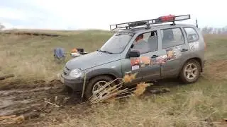 БамбрОля. Выбрался
