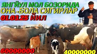 ЯНГИЙУ́Л МОЛ БОЗОРИДА ОНА-БОЛА СИГИРЛАР ЗУ́РЛАРИ 🐄🐄🐄🐄💯