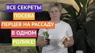 ПОРА! СЕЕМ ПЕРЦЫ НА РАССАДУ! САДОВЫЙ СЕЗОН 2022!