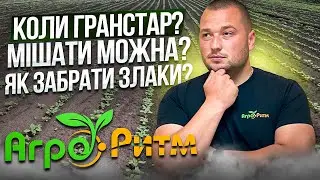 АЛЬДАЗОР: БУРЯН АТАКУЄ СОНЯШНИК? ВСЕ ПРО ГЕРБІЦИДНИЙ ЗАХИСТ ЗА 10 ХВИЛИН! #альдазор #фермер