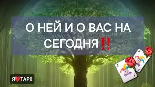 О ней и о вас на сегодня‼️ расклад таро для мужчин