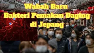 Wabah Baru Bakteri Pemakan Daging di Jepang 2024. #videoviral   #trending #fyp #bakteripemakandaging