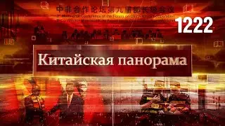 Переговоры лидеров, китайско-африканские связи, расширение торговли между континентами – (1222)