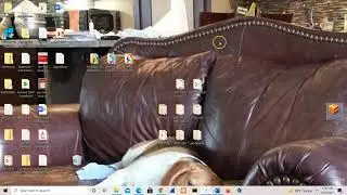 Bwapp Installation and Setup - Vulnerable Web App