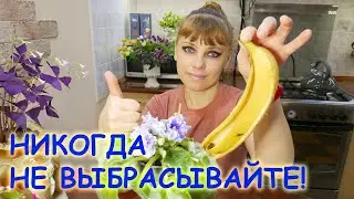 НЕВЕРОЯТНОЕ удобрение из банановой кожуры /  Подкормка для комнатных растений