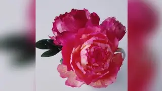 Сахарный пион для торта