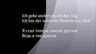 Rammstein - Zwitter lyrics HD Литературный перевод