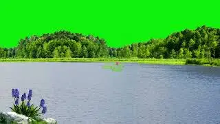 nature background video effect green screen