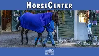 Breeders' Cup 2024 Top Picks and Long Shots on HorseCenter