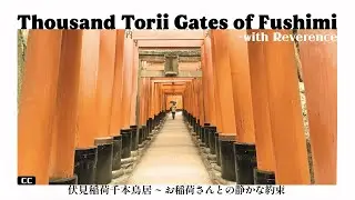 Thousand Torii Gates of Fushimi -with Reverence ⛩️ 🦊 伏見稲荷千本鳥居~お稲荷さんとの静かな約束 #18 #japanvlog #kyoto