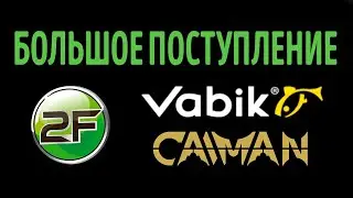 Пополнение Caiman, Vabik и Spada