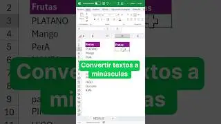 CONVERTIR un TEXTO a Minúsculas en Excel (2 Métodos)