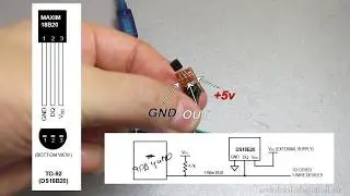 Подключаем датчик DS18B20 к Arduino и считываем показания