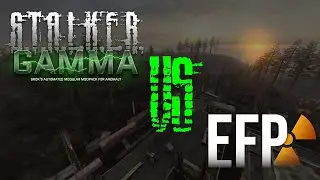 Stalker GAMMA or EFP, Which is the BEST?