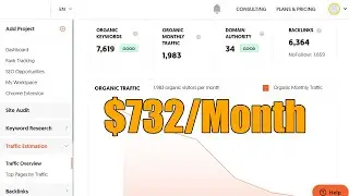 $732/Month Outdoor Niche Website Traffic Overview