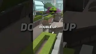 Split Everything You NEED To Know 