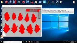 How to measure leaf area in ImageJ program