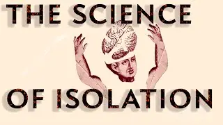 Being cut off from other humans changes your brain. Here's the science on how.