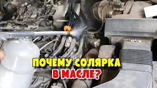 Что и как проверять если увеличивается уровень масла на Kia Sorento III , engine D4HA, D4HB