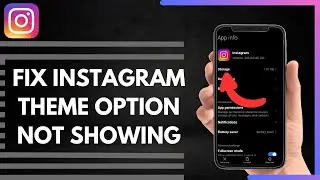 How To Fix Instagram Theme Option Not Showing