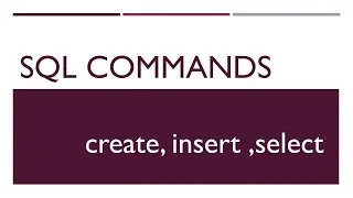 How to execute create, insert and select commands in SQL