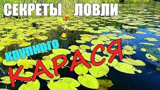 КАК СЛОВИТЬ КРУПНОГО КАРАСЯ. Эти секреты нужно знать. Подводная съёмка.