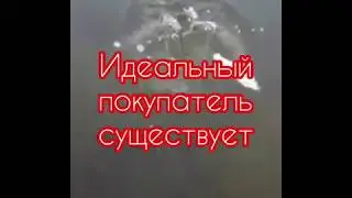 Идеальный покупатель существует рыбки