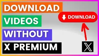 How To Download Twitter Videos From X? (Without X Premium) [in 2024]