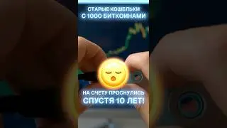 Старые кошельки с 1000 биткоинами проснулись спустя 10 лет! 