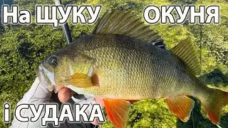 УНІВЕРСАЛЬНИЙ СПІНІНГ НА ЩУКУ ОКУНЯ І СУДАКА