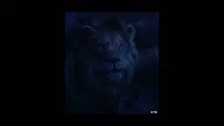 Simba Tells Kiara About Her Grandfather #kiara #simba #arrow #thelionking #short