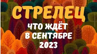 СТРЕЛЕЦ♐ - СЕНТЯБРЬ🍁🍇💌2023  [Таро прогноз]