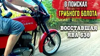 ВОССТАНОВИЛИ ЯВУ 638 и сразу в болота ПОКАТУШКИ на Яве