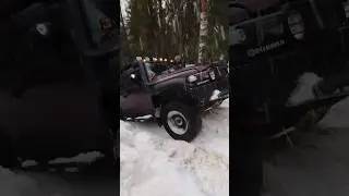 НИКТО НЕ ПОНИМАЕТ, ЗАЧЕМ ОНИ ЭТО ДЕЛАЮТ! 