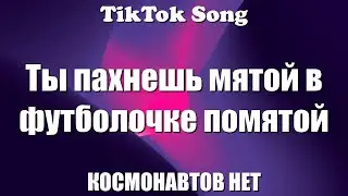 МЯТОЙ (Remix 2010) - КОСМОНАВТОВ НЕТ (Ты пахнешь мятой в футболочке помятой) (Текст) - TikTok Song