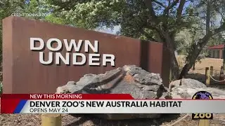 Denver Zoo's Australian habitat to open Friday