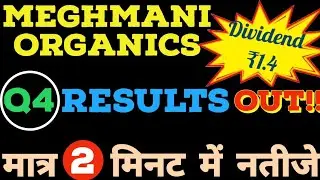 MOL Q4 RESULTS ANALYSIS Meghmani Organics share latest news