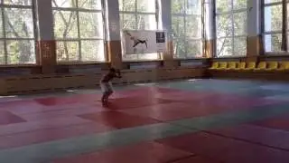 Отработка Фляка