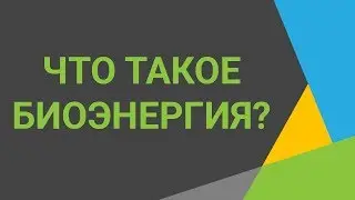 Биоэнергия или энергия биомассы Расскажем о самых распространённых технологиях переработки биомассы