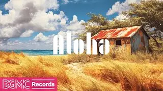 Hawaiian Music for Relaxing Moments | Aloha Vibes from a Rustic Beach Retreat