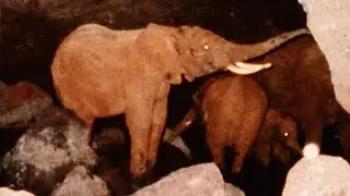 A Secret Hiding in the Deadliest Cave in the World: 5 Unexplained Cave Mysteries