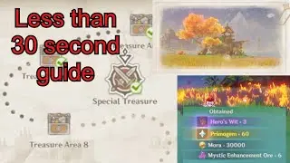 Special Treasure Guide tutorial in less than 30 seconds l Genshin Impact
