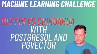Machine Learning challenge: Chihuahua vs Muffin with PostgreSQL and pgvector