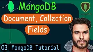 Collection , Documents & Fields in MongoDB DataBase | MongoDB Tutorial