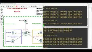 CCNA/CCNP Cisco Private VLAN Basic Configuration
